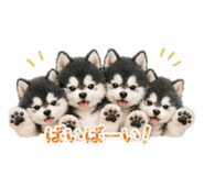 844085176