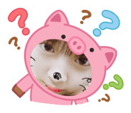 844086207
