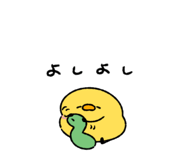844086545