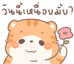 ส้มขอ รูปที่ 1