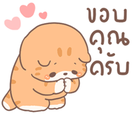 ส้มขอ รูปที่ 4