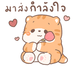 ส้มขอ รูปที่ 13