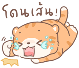 ส้มขอ รูปที่ 14