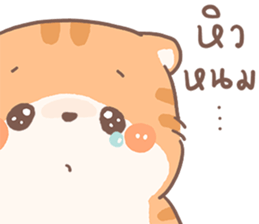 ส้มขอ รูปที่ 16
