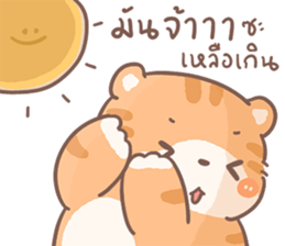 ส้มขอ รูปที่ 20