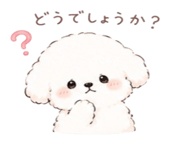 844087662