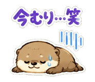 844087807