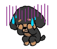844088374