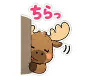 844088816