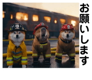 844089291