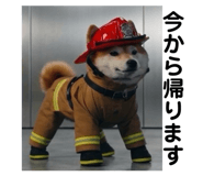 844089293