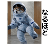 844089301