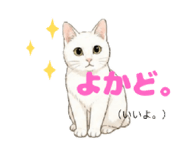 844089593