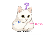 844089598