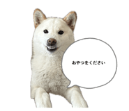 844089841