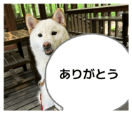 844089846