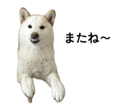 844089847