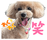 844090117