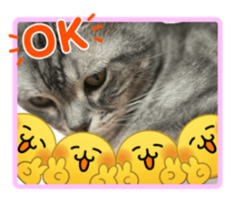 844090734