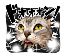844090749