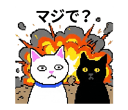 844090891