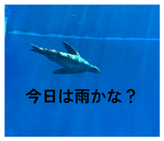 844090940