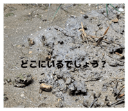 844090944