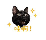 844091846