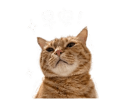 844093409