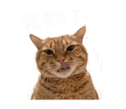 844093416