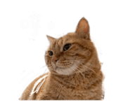 844093425