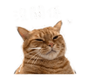 844093426