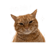 844093430