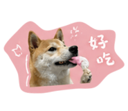 844093565