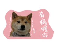 844093582