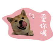 844093585