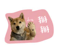 844093590