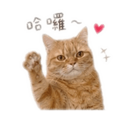 844094377
