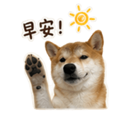844094541
