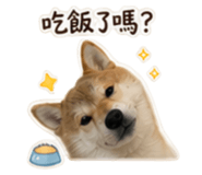 844094544