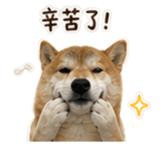 844094555