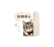 844095637