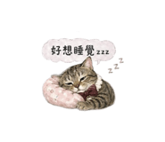 844095643