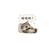 844095649