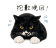 844096762