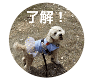 844097838