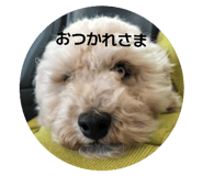 844097840