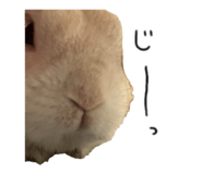 844097900