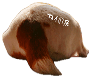844097976
