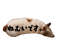 844097987